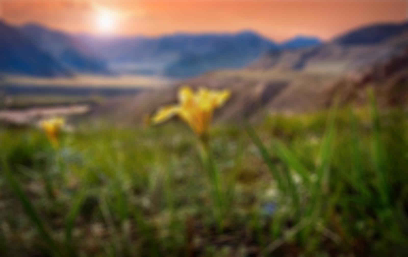 main_blur